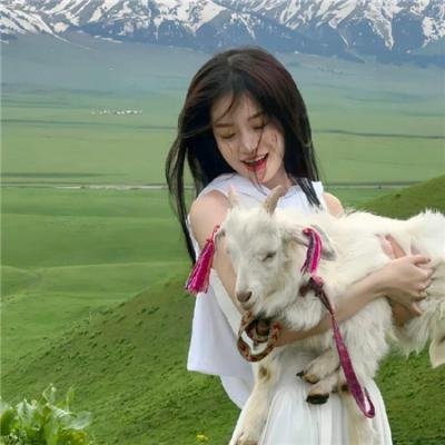 谁动了我的爱情